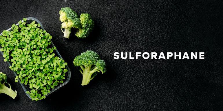 Broccoli sprouts and florets on dark surface with 'sulforaphane' text, functional nutrition