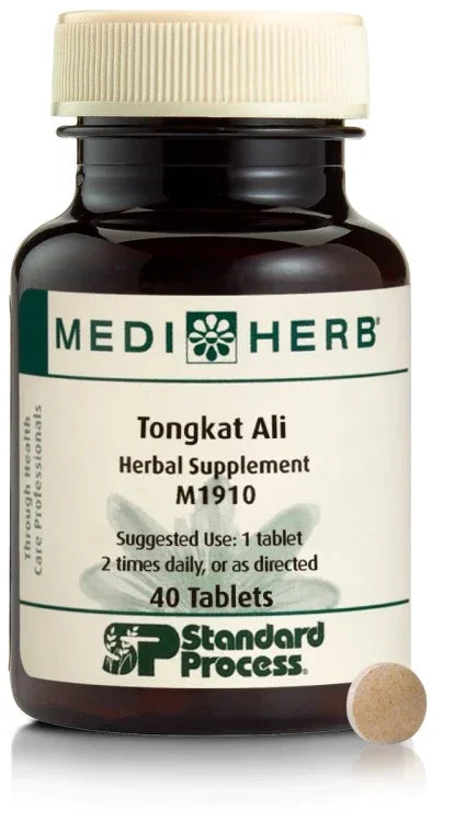MediHerb Tongkat Ali herbal supplement bottle with beige tablet, 40 tablets, Standard Process